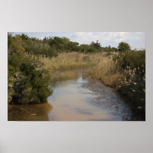 Póster del paisaje acuático del arroyo