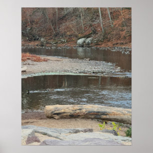 Póster del paisaje acuático del arroyo
