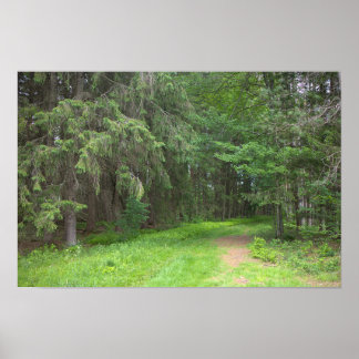 Póster del paisaje del parque