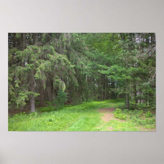 Póster del paisaje del parque (Frente)