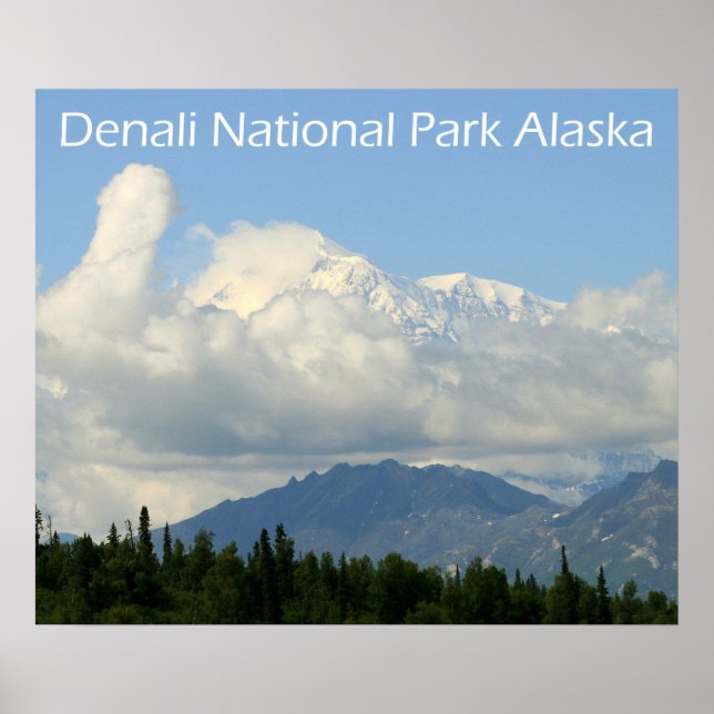 Póster del Parque Nacional Denali (Frente)