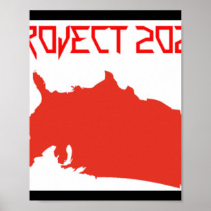 Póster Del Proyecto 2025