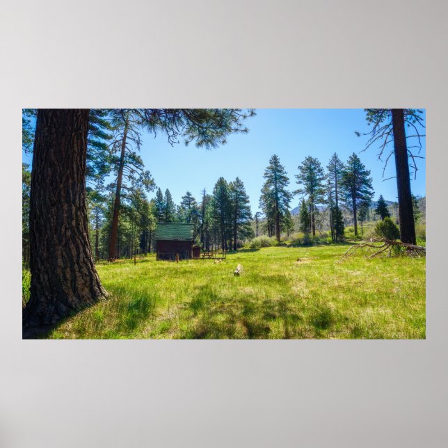 Póster del refugio del prado tranquilo del bosque  (Frente)