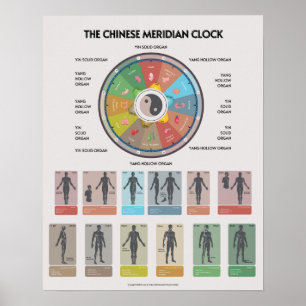 Póster del reloj de órganos del meridiano de la MT