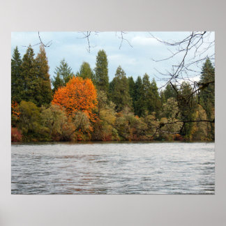 Póster del río tranquilo