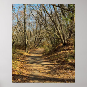 Póster del sendero de otoño
