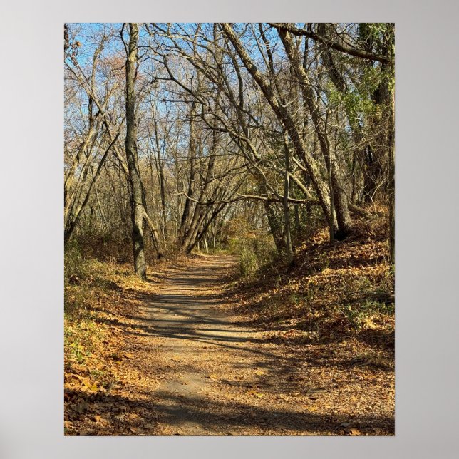 Póster del sendero de otoño (Frente)