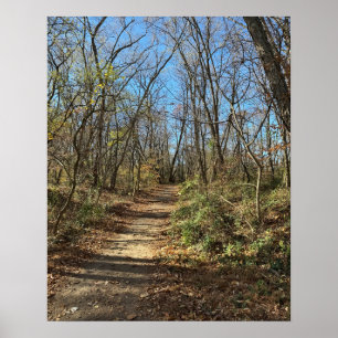 Póster del sendero de otoño