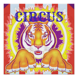 Poster del tigre 20x20 del circo