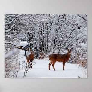 Póster del valor de la nieve invernal del venado d