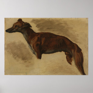 Póster Delacroix - Levrier Presumiblemente 1859
