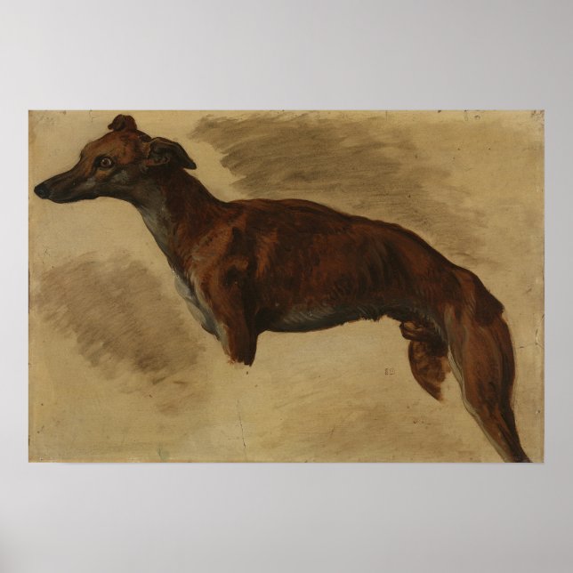 Póster Delacroix - Levrier Presumiblemente 1859 (Frente)