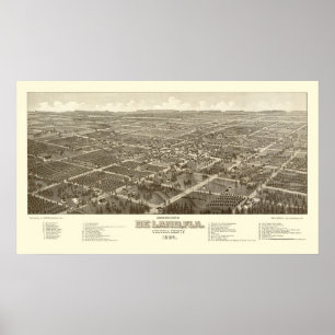 Póster DeLand, FL Panoramic Map - 1884