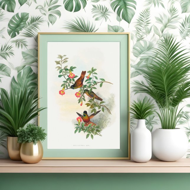 Póster Delantera de la estrella dorada (Subido por el creador)