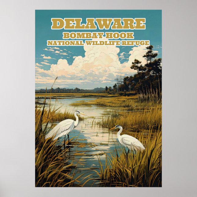 Póster Delaware Bombay Hook V03 (Frente)