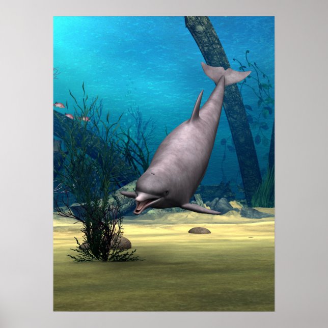 Póster Delfín (Frente)