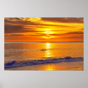 Póster Delfín al Atardecer, Playa Fort Myers, Florida