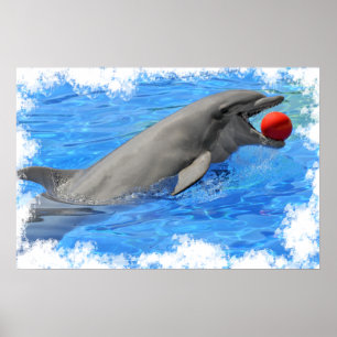 Póster Delfín botellano con una bola en la boca