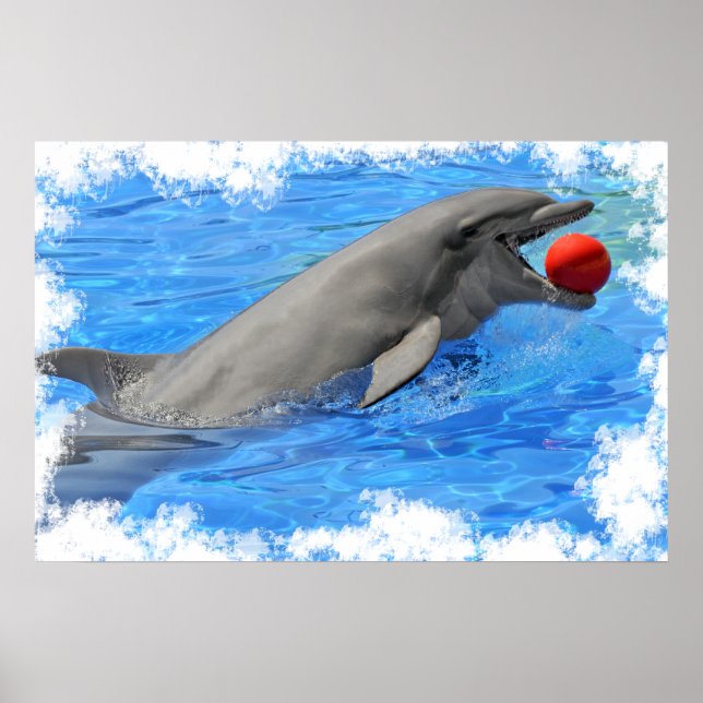 Póster Delfín botellano con una bola en la boca (Frente)