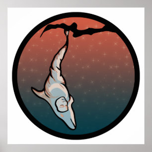 Póster delfín cocoon