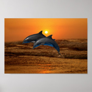 Póster Delfín de Bottlenose en la puesta del sol