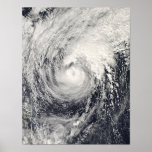 Póster Delfín del tifón en el mar filipino