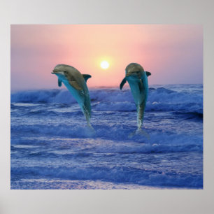Póster Delfín en botella al amanecer