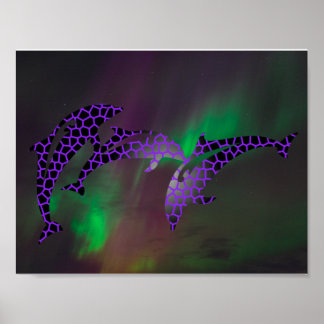 Póster Delfín Luces del Norte Paisajes Cielos