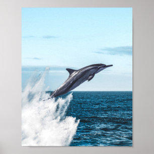 Póster Delfín saltando del océano