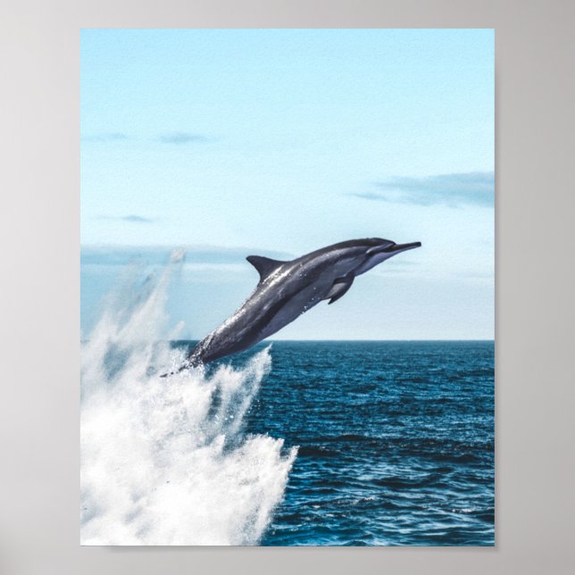 Póster Delfín saltando del océano (Frente)