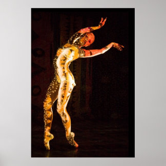 Póster Delfina-4653