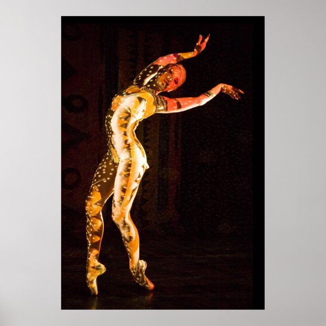 Póster Delfina-4653 (Frente)