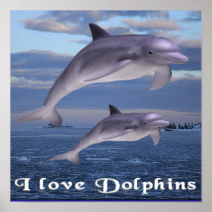 Póster delfines