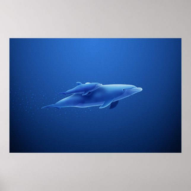 Póster Delfines (Frente)