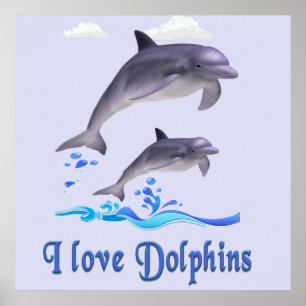 Póster delfines