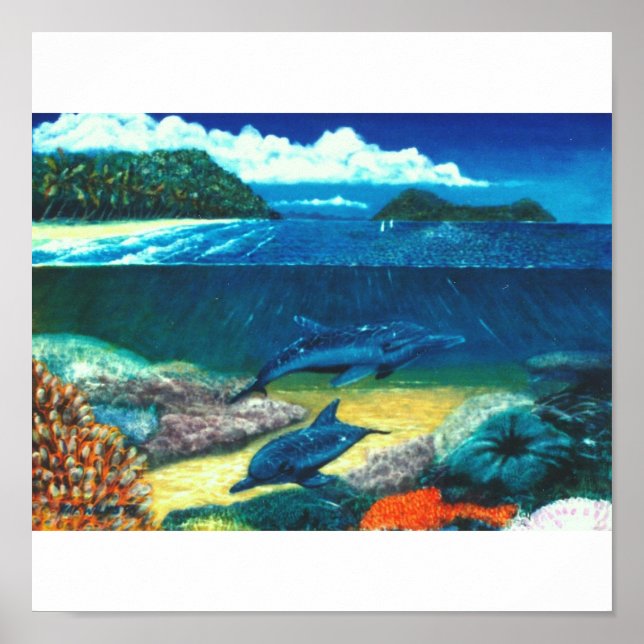Póster delfines (Frente)