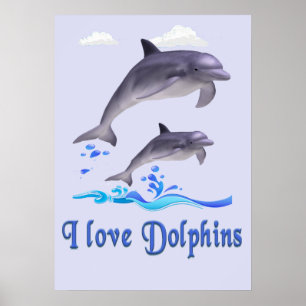 Póster Delfines