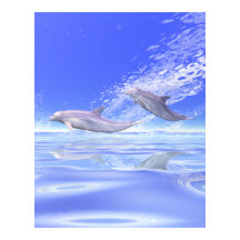 Delfines Corriendo