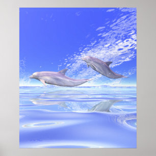 Póster Delfines Corriendo