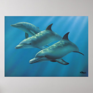 Póster Delfines de Andrew Patsalou