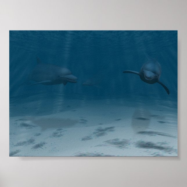 Póster Delfines en juego (Frente)