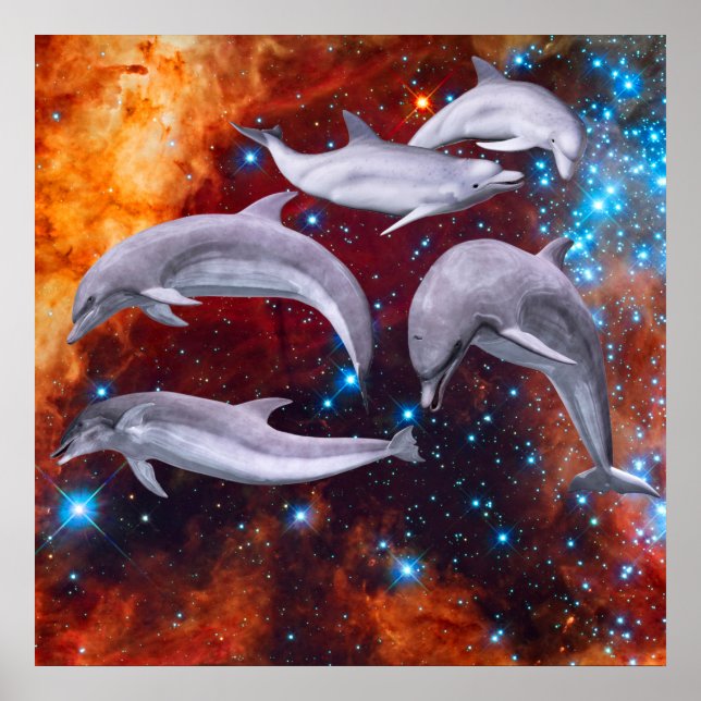Póster Delfines Estelares (Frente)