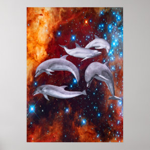 Póster Delfines Estelares
