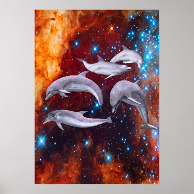 Póster Delfines Estelares (Frente)