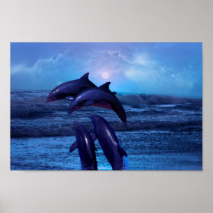 Póster Delfínes que juegan en el océano