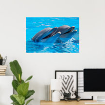 Delfines sonrientes