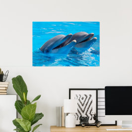 Póster Delfines sonrientes