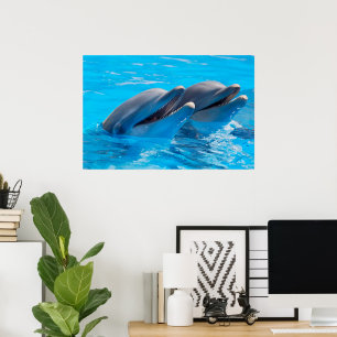 Póster Delfines sonrientes