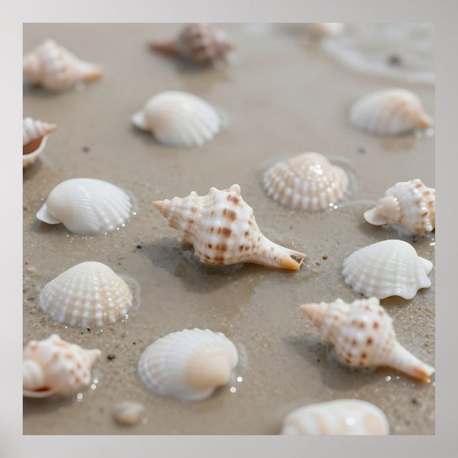 Póster Delicate Seashells Beach Serenity (Frente)