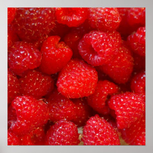 Póster Deliciosa linda foto de frambuesa rosa oscuro